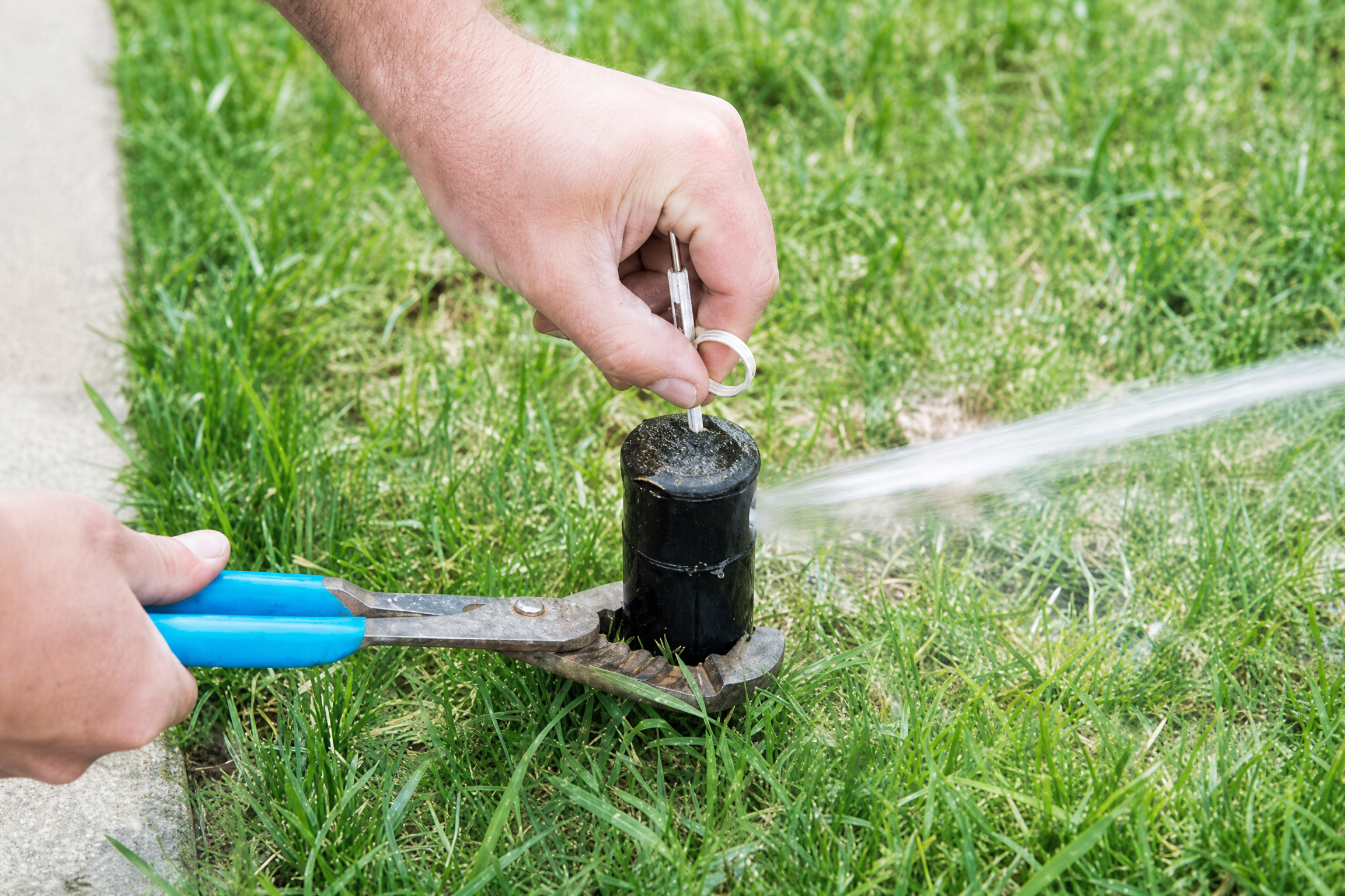 Hands adjusting an active lawn sprinkler head during a repair