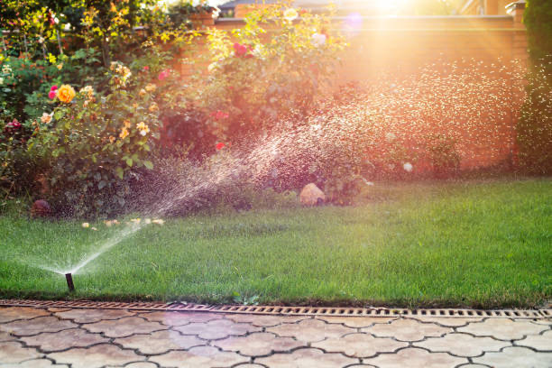 Emergency irrigation repair service in Phoenix fixing major sprinkler system leak and water line break